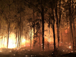 Police hunt car after ‘suspicious’ Carney’s Creek fire