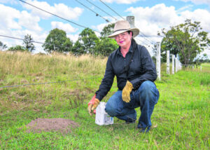 Floating fire ants fuel fear as hay into NSW halted