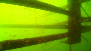 These attractors lure fish to Toowoomba’s dam, could they work in the Scenic Rim?