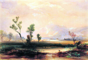 When emus roamed the Fassifern