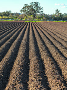 Win for Queensland ag as carbon capture, testing banned