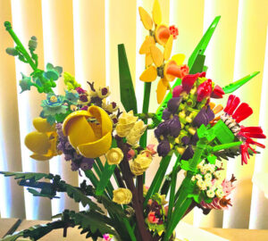 Building a fan base, beautiful brick is back