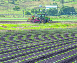 Amateur and professional soil experts can nominate for national award