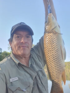 Snakes on a plain … and in the water