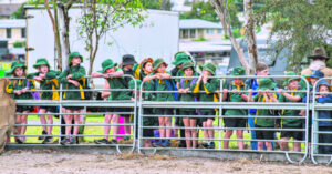 For cattle and country, old fashioned show hits all the right spots