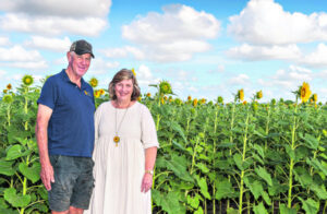 Jenners named as finalists