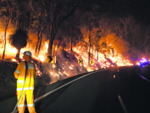 Latest stories from the bushfires