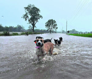 Flooded fields, roads and overflowing catchments
