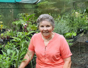 Plants going dirt cheap as Tamborine Mt’s ‘legendary’ garden sale