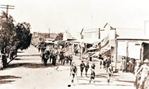 Fassifern and Typhoid Mary in 1920