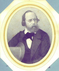 The Beauty of Life – The Undervalued Member