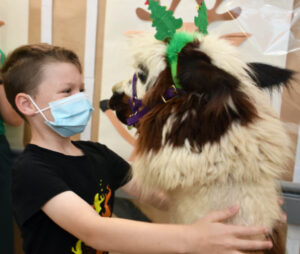 Alpaca lot of love into bedside visits