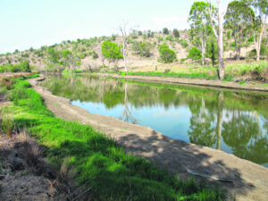 Exploring a bright new world after the rain