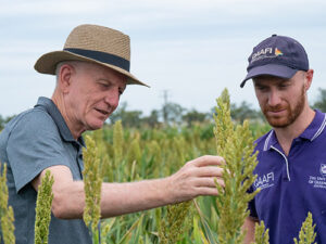 Past practices pave path to sustainable food future