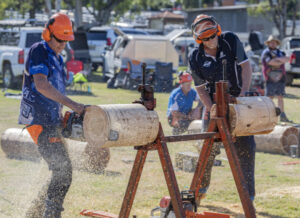Chainsaw competitors make the cut