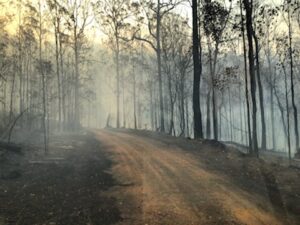 Homes threatened by Carney’s Creek bushfire