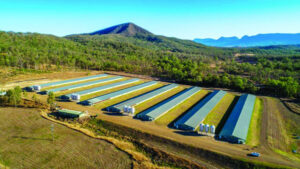 Document anomaly raises question on poultry farm decision