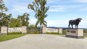 Quarry owner buys $27M Kerry Valley station for cattle, not rocks