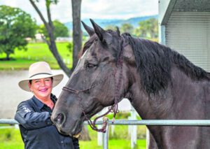 Passionate about Percherons and the care of horses