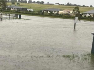Floodwaters reach highest level at Kalbar Showgrounds, sports fields