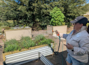 Kooralbyn community grows their own way