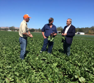 Cannery to take on imported produce