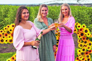 Sunflower Festival a first day sell-out