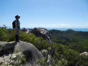 Koala only species to genetically adapt in real time