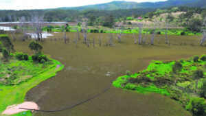Wyaralong fishers worked up over weeds