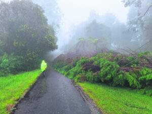 TC Alfred on the list of rare weather phenomena