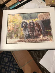 Talking sheds worry through companionship