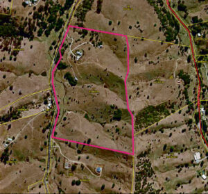 Wedding venue venture proposed for Flying Fox