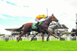 Beaudesert’s rookie trainer gets it right from the start