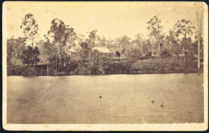 OUR HISTORY – The bunyip of the Bromelton billabong