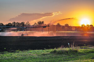 Banking on the district’s future