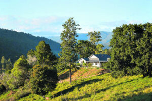 Regional housing market holds firm against city slump