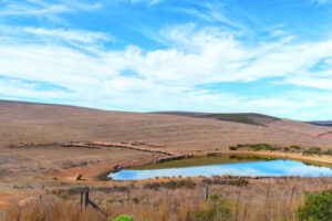 Water banking investigated for future drought proofing