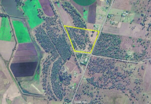 Letter to the Editor – Council-owned Munbilla land ideal for Wildlife Reserve