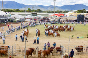 Boonah represented at big beef event