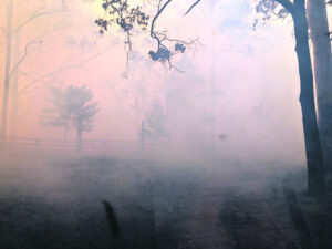 Dealing with trauma after fire