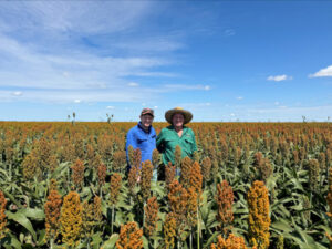 Coggan’s closed system of cropping, cattle and sheep