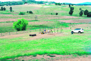 Hard lessons: Never work with children or animals