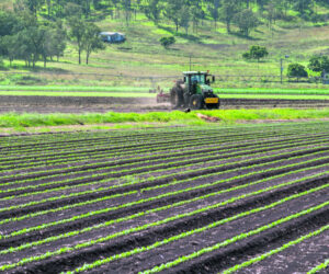 Potential solutions found in plan to build agricultural workforce