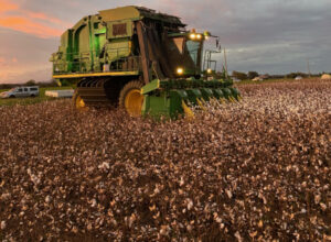 Ag industry’s key message to growers and graziers: order early