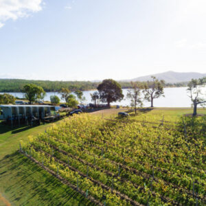 Wineries to visit in the Scenic Rim
