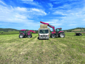 Good rain followed by fine weather a perfect Summer formula for haymakers