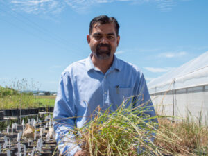 Biologist warns mutating weed could cost industry millions