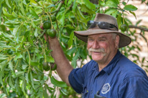 Mountain avos smashed by rising property prices