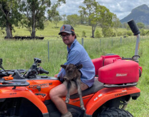 Catching canines, keeping cattle safe