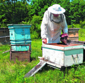 Honey harvest allowed to continue in national parks, for now